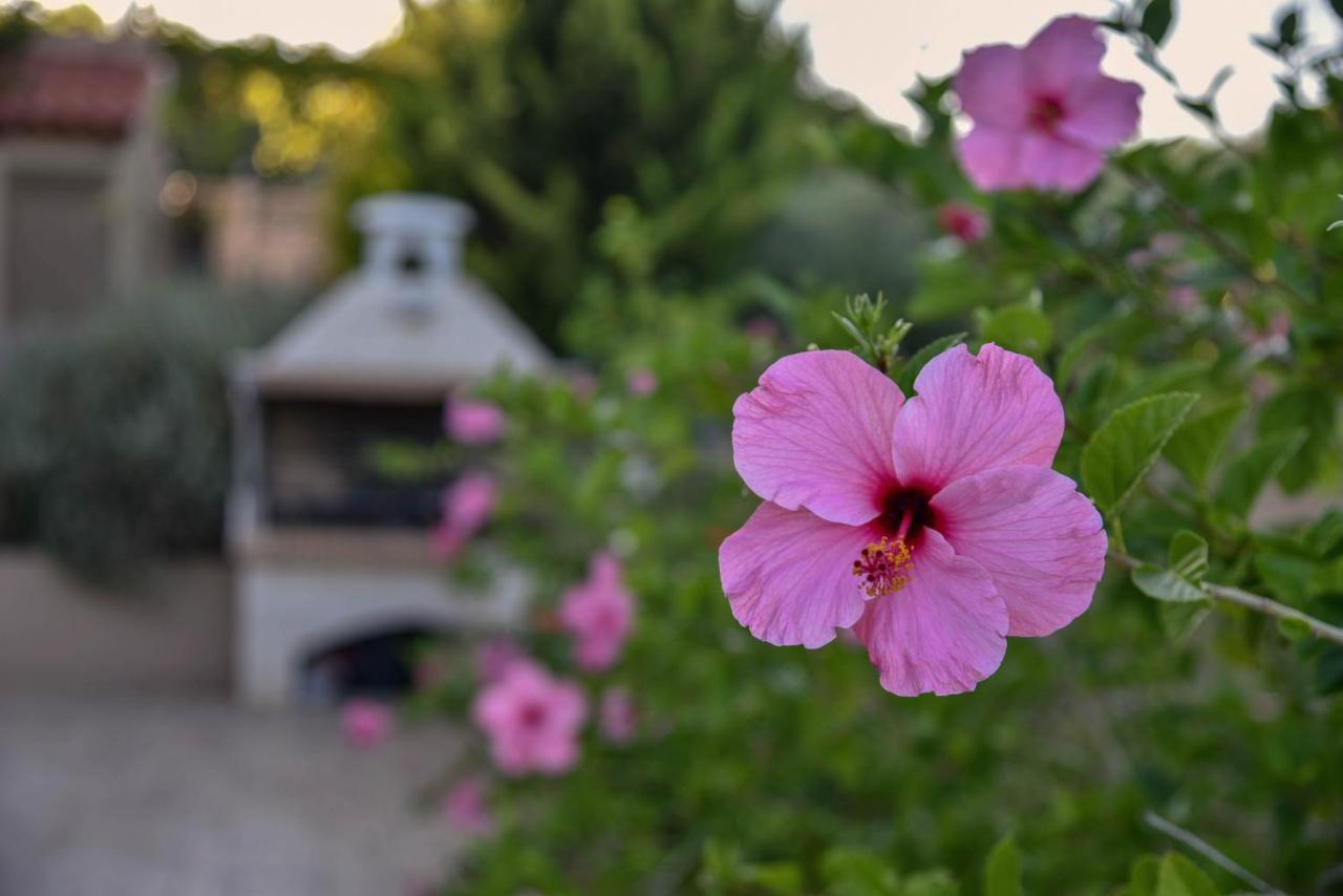 Villabayviewcrete Chersonissos Buitenkant foto